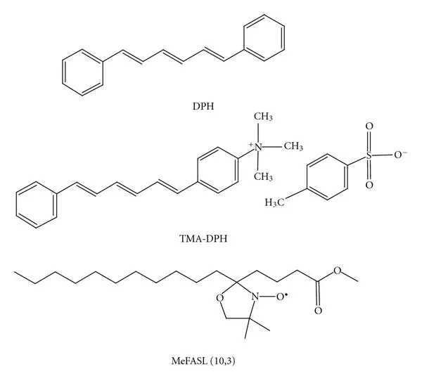 1,6-Diphenyl-1,3,5-Hexatriene (DPH) pure; 98% : 1720-32-7	1 Gms 